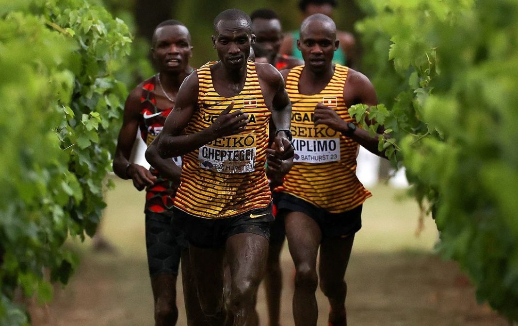 крос-белград