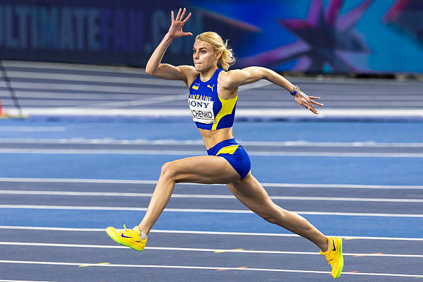 левченко торунь